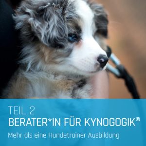 Berater für Kynogogik® - mehr als eine Hundetrainer Ausbildung