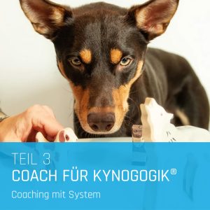 Coach für Kynogogik® Ausbildung
